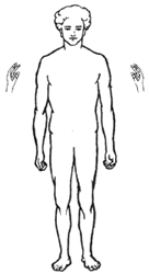 Picture1.gif (8430 bytes)