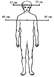 Picture2.gif (9398 bytes)