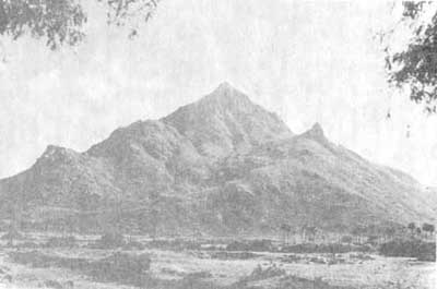 ���������, �������� ����