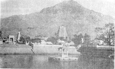 ������� ���� �� ���� ���������