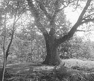 ����� � ��� � ����� ������ �������� ��� ����� ����������� �������� ��� ������